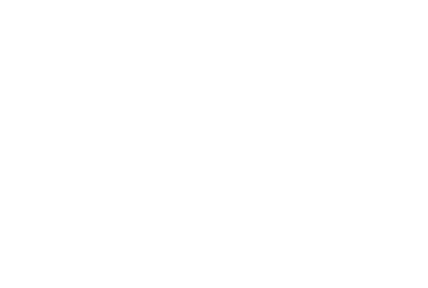Stay Silent Records